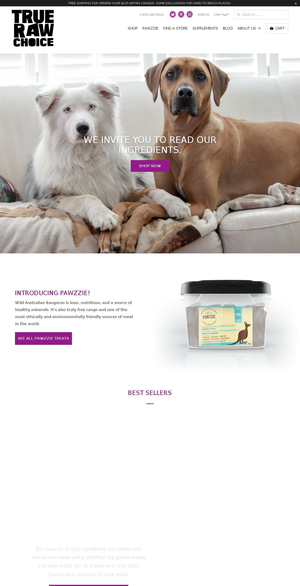 companionpetproducts.ca shopify website screenshot