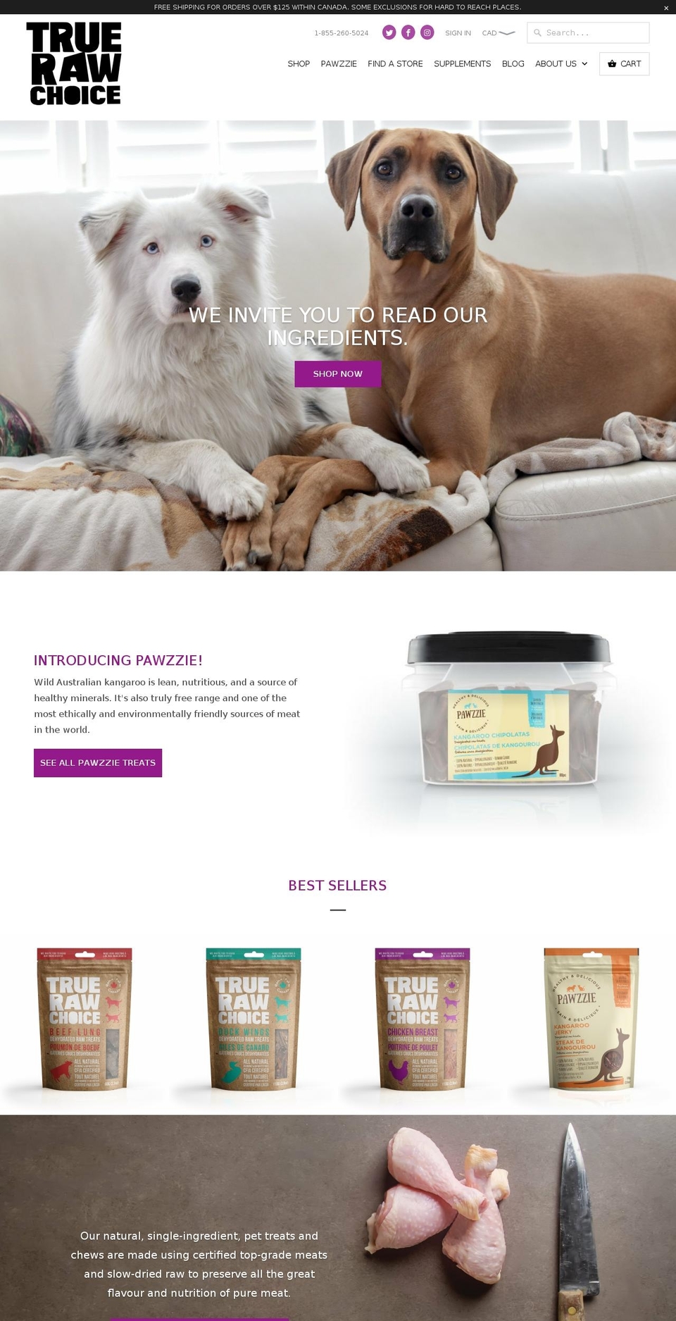 companionpetsproduct.ca shopify website screenshot