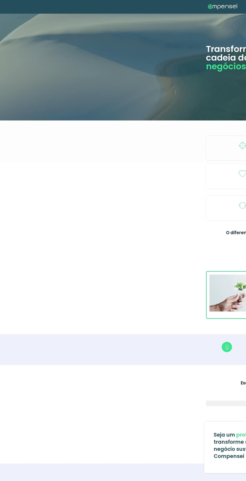 compensei.com — Shopify storefront screenshot