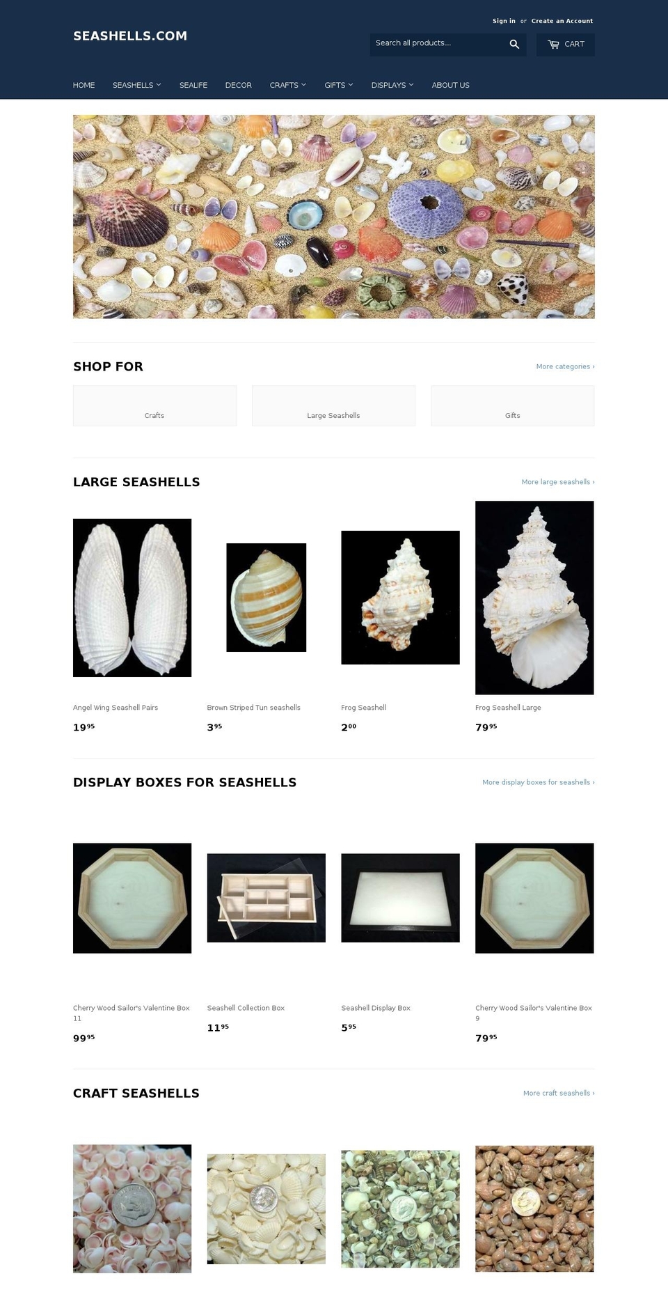 conchology.biz shopify website screenshot