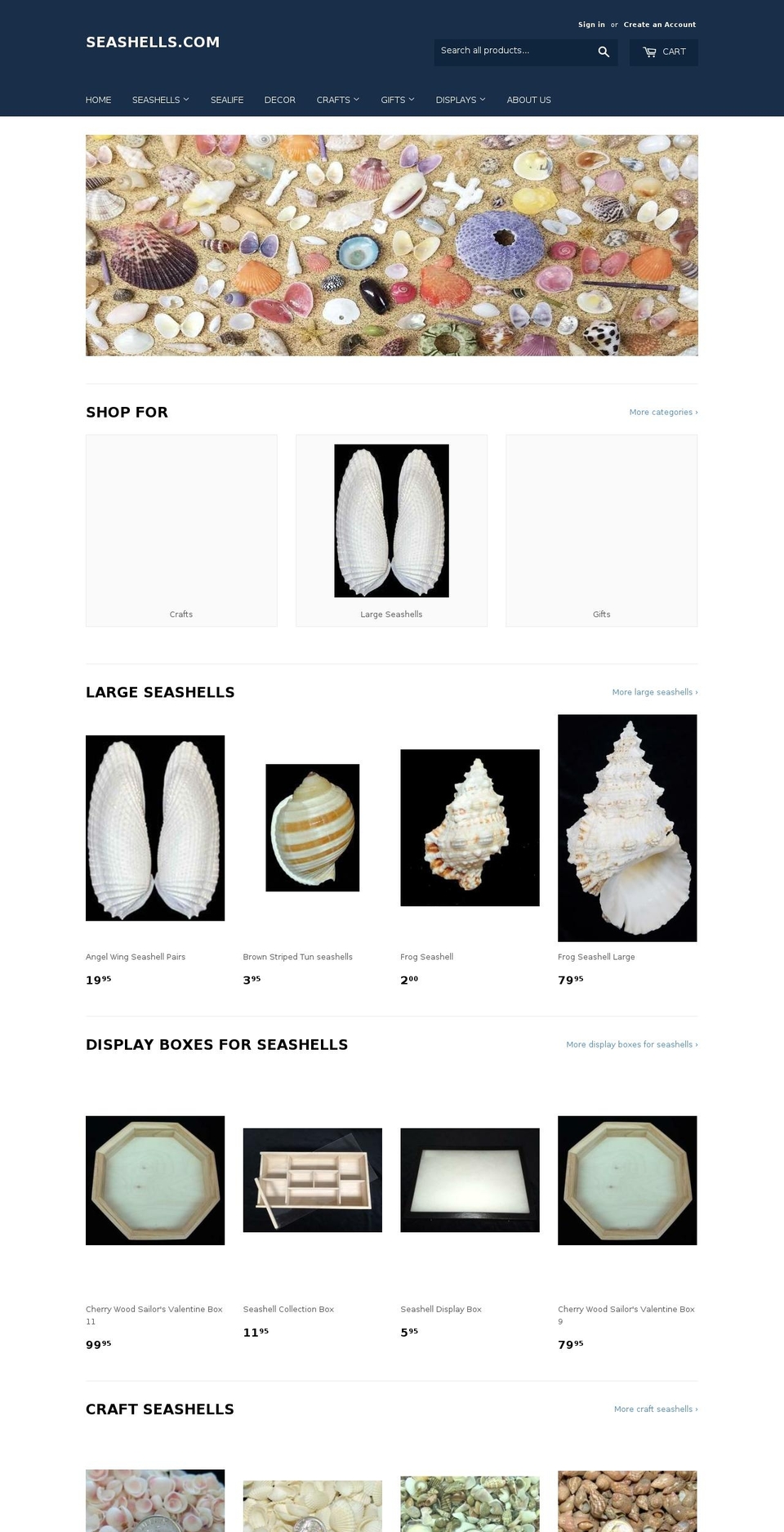 conchology.com shopify website screenshot
