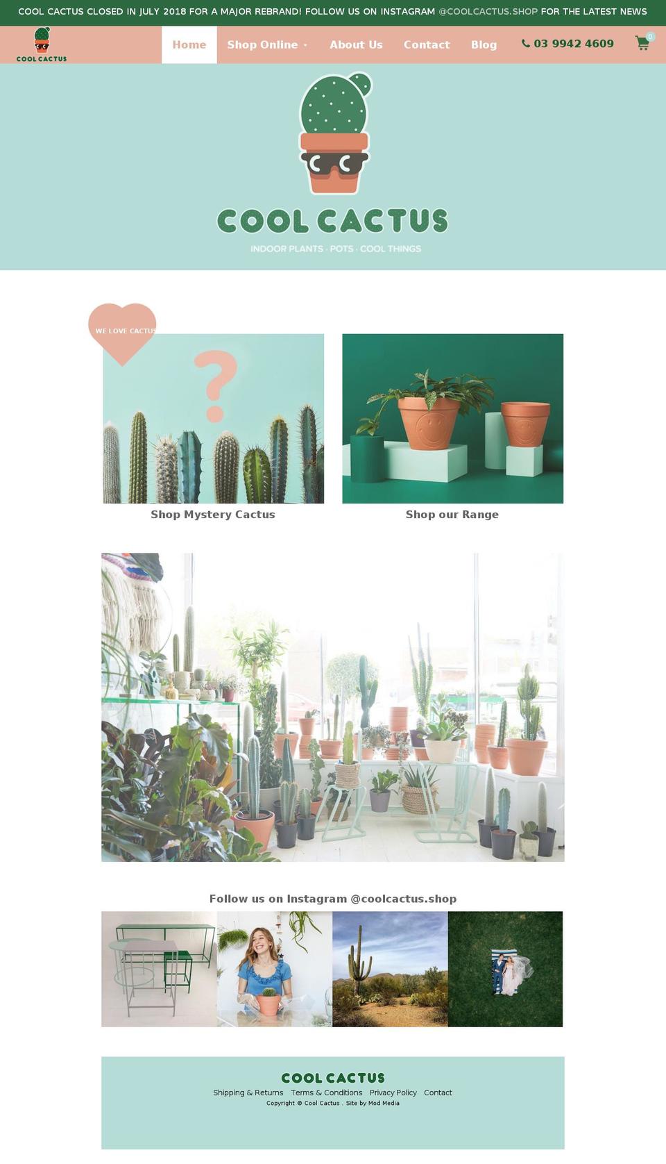 coolcactus.com.au shopify website screenshot