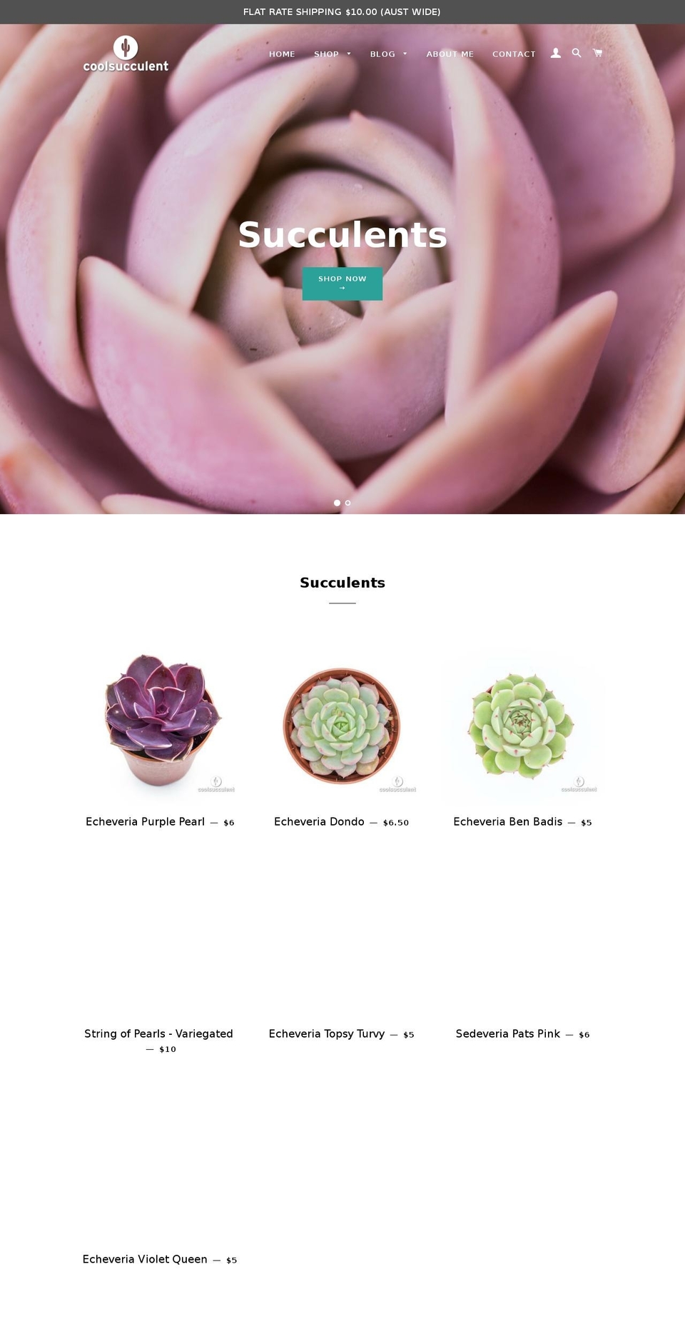 coolsucculent.com — Shopify storefront screenshot