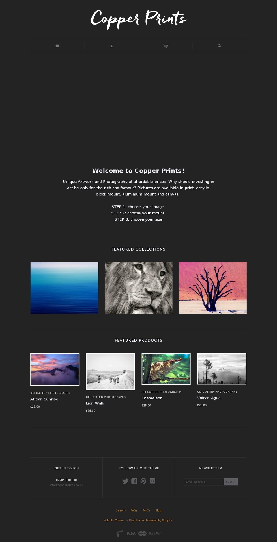 copperprints.com shopify website screenshot