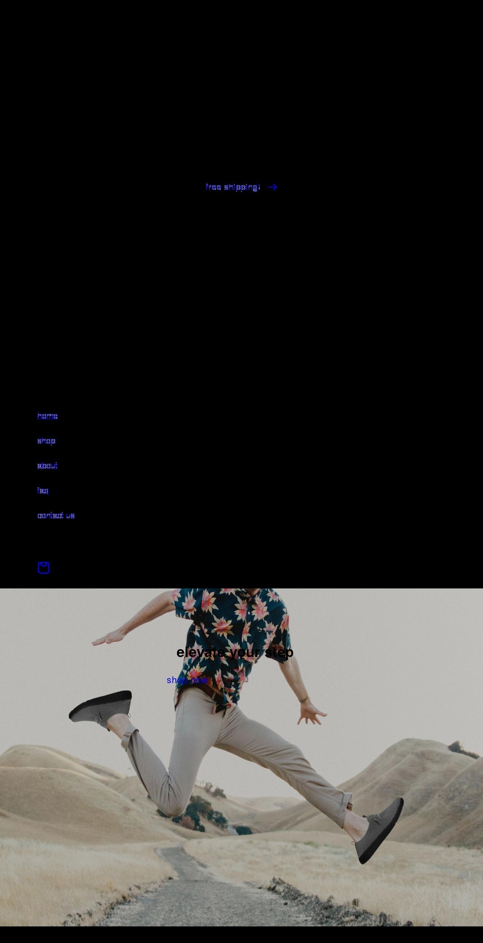 coralshoecompany.myshopify.com shopify website screenshot