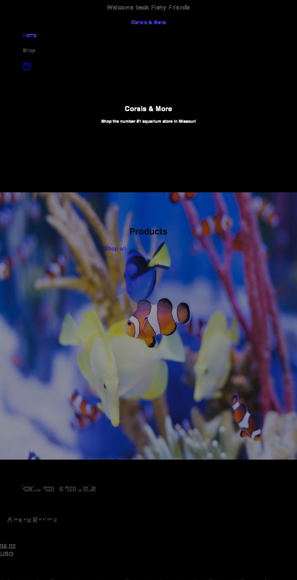 coralsnmore.com shopify website screenshot