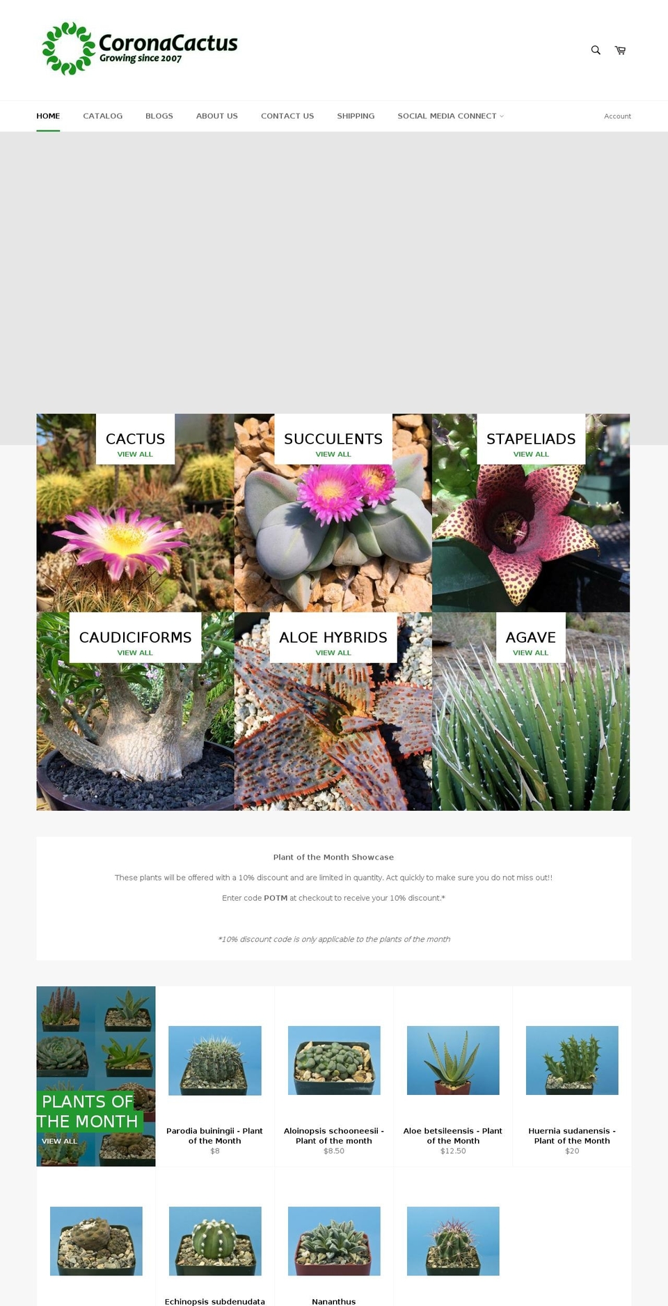 coronacactus.com shopify website screenshot