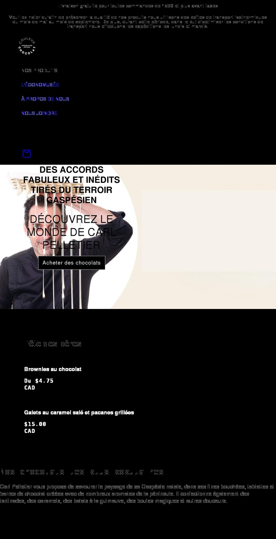 couleurchocolat.ca shopify website screenshot