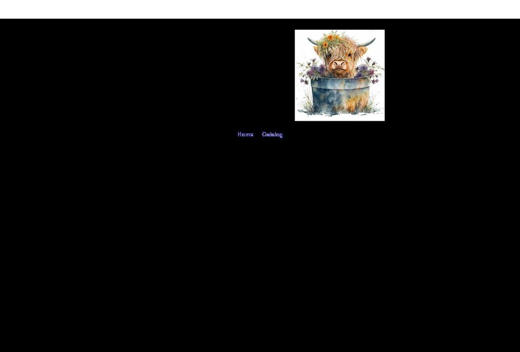 countrystyleboutique.com shopify website screenshot