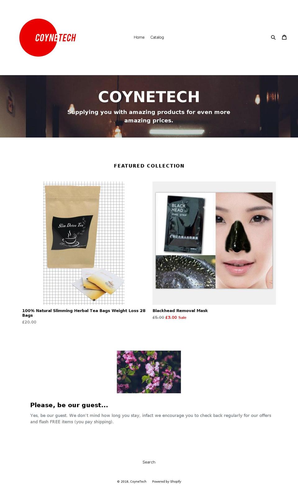 coynetech.com — Shopify storefront screenshot