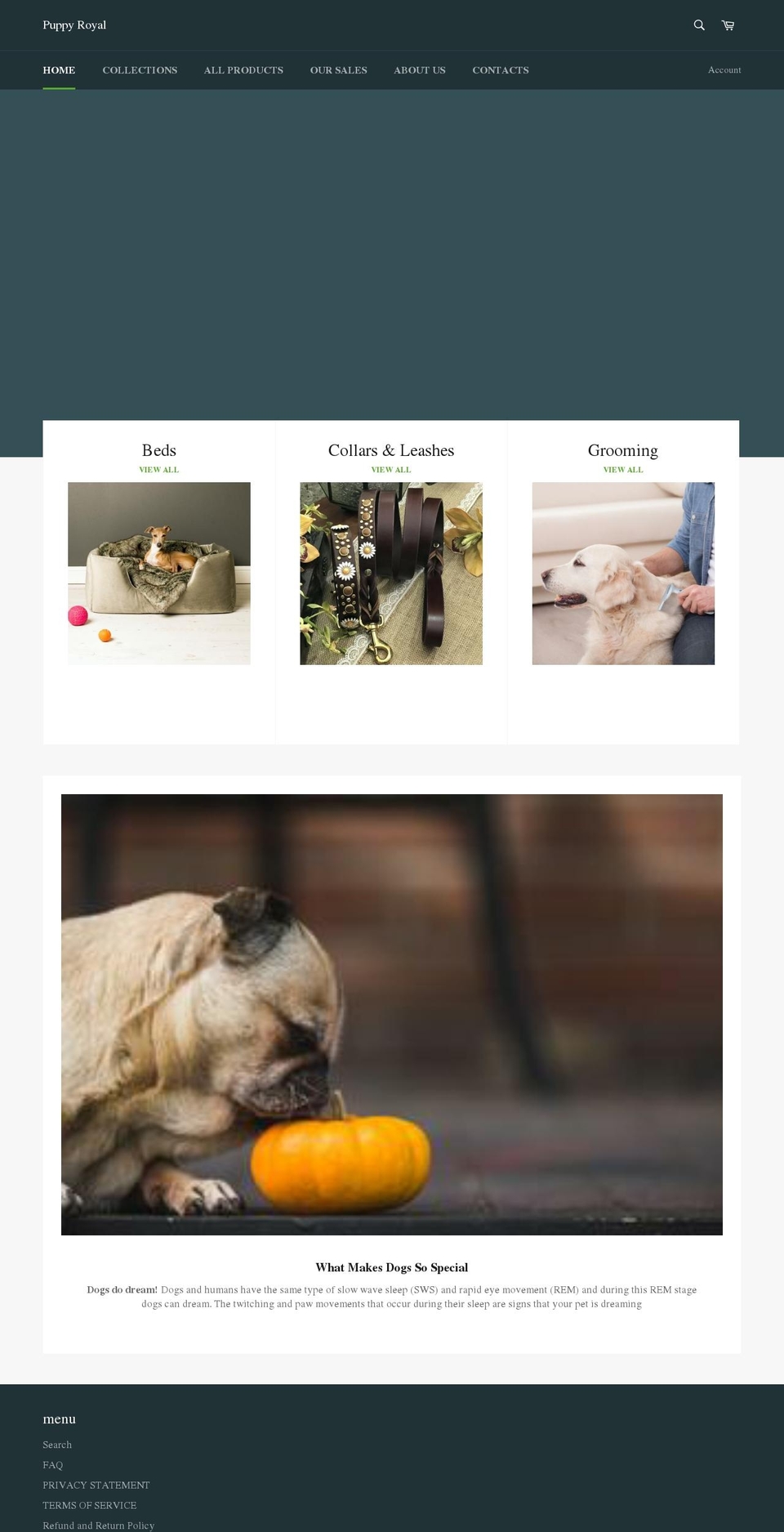 crawlingkids.com — Shopify storefront screenshot