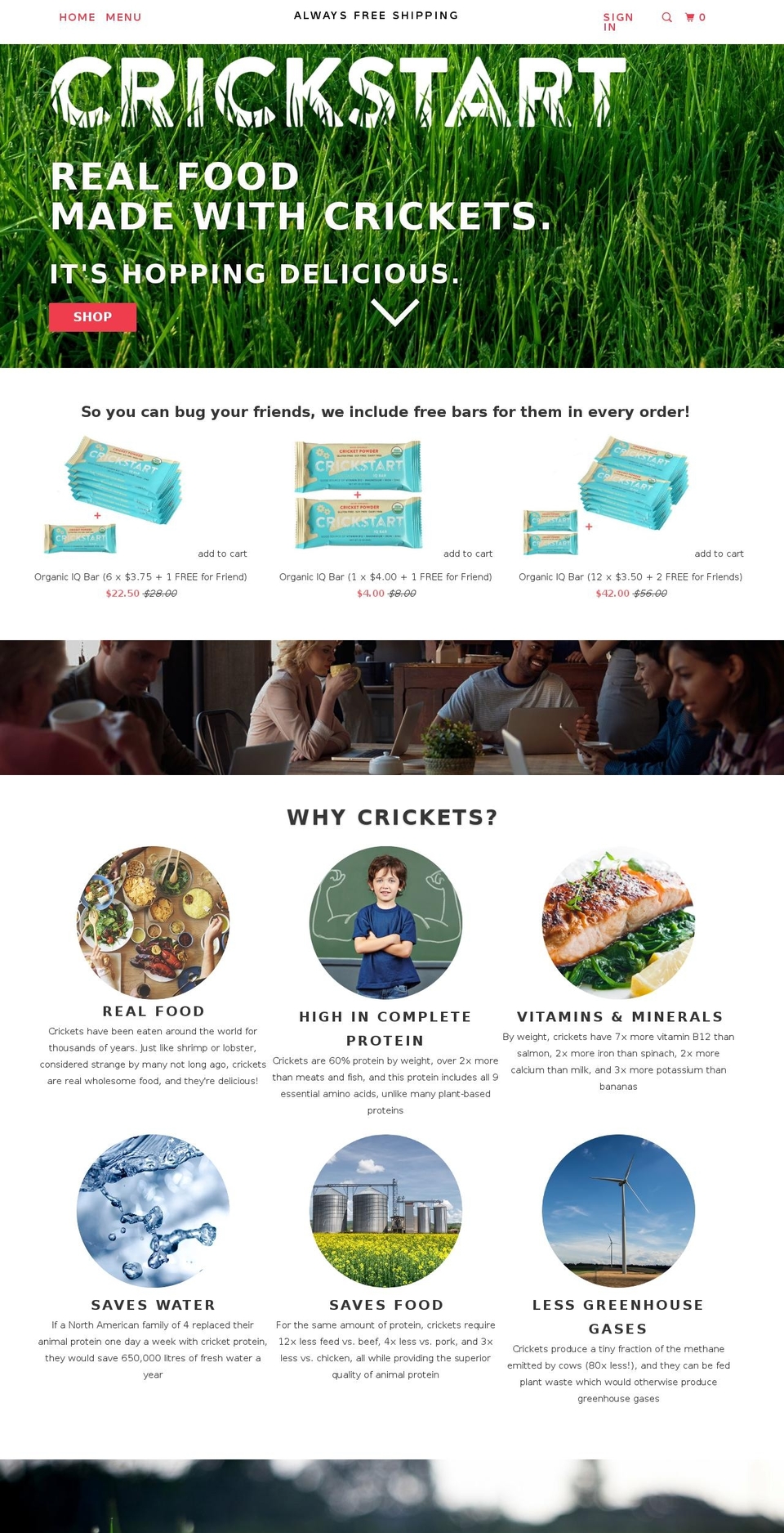 crickstart.com shopify website screenshot