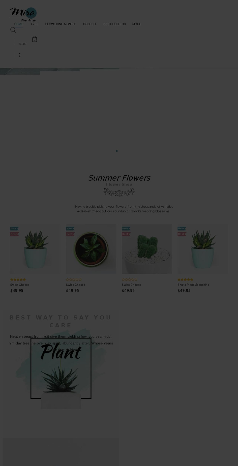 cs-mira-3.myshopify.com shopify website screenshot