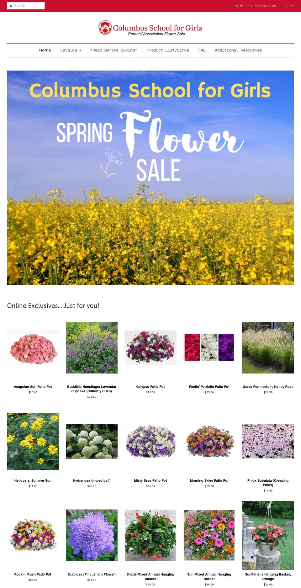 csgflowersale.com shopify website screenshot