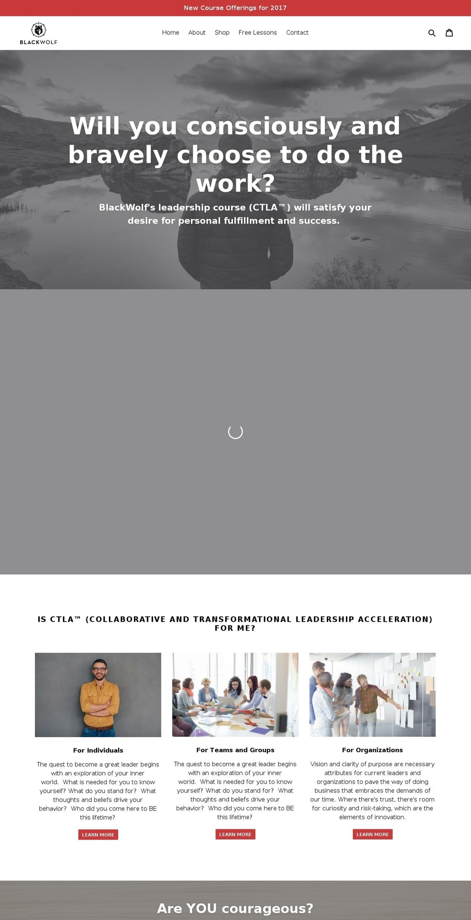 ctlablackwolf.com — Shopify storefront screenshot