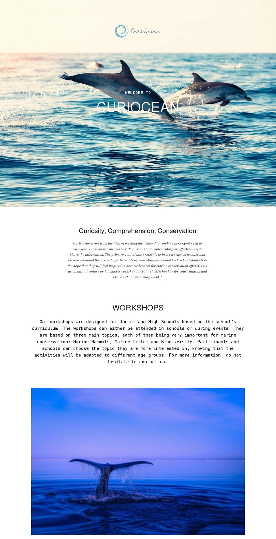 curiocean.com shopify website screenshot