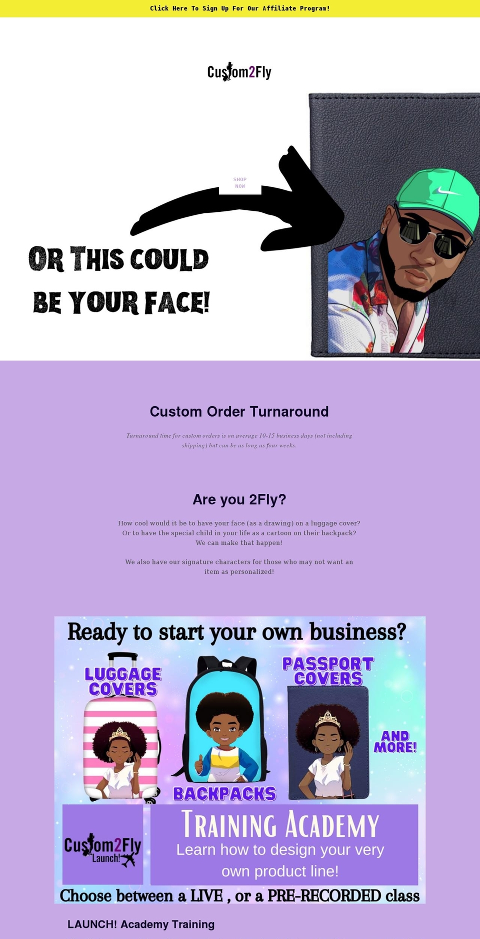 custom2fly.com shopify website screenshot