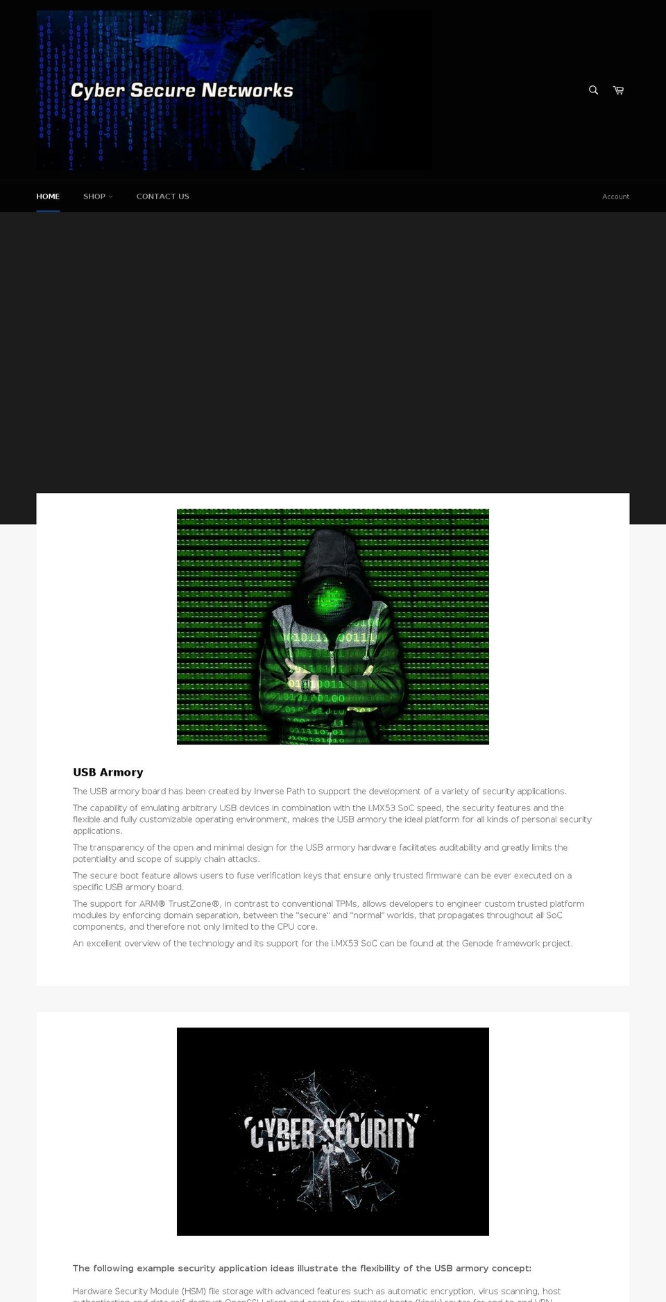 cybersecurenetworks.com shopify website screenshot