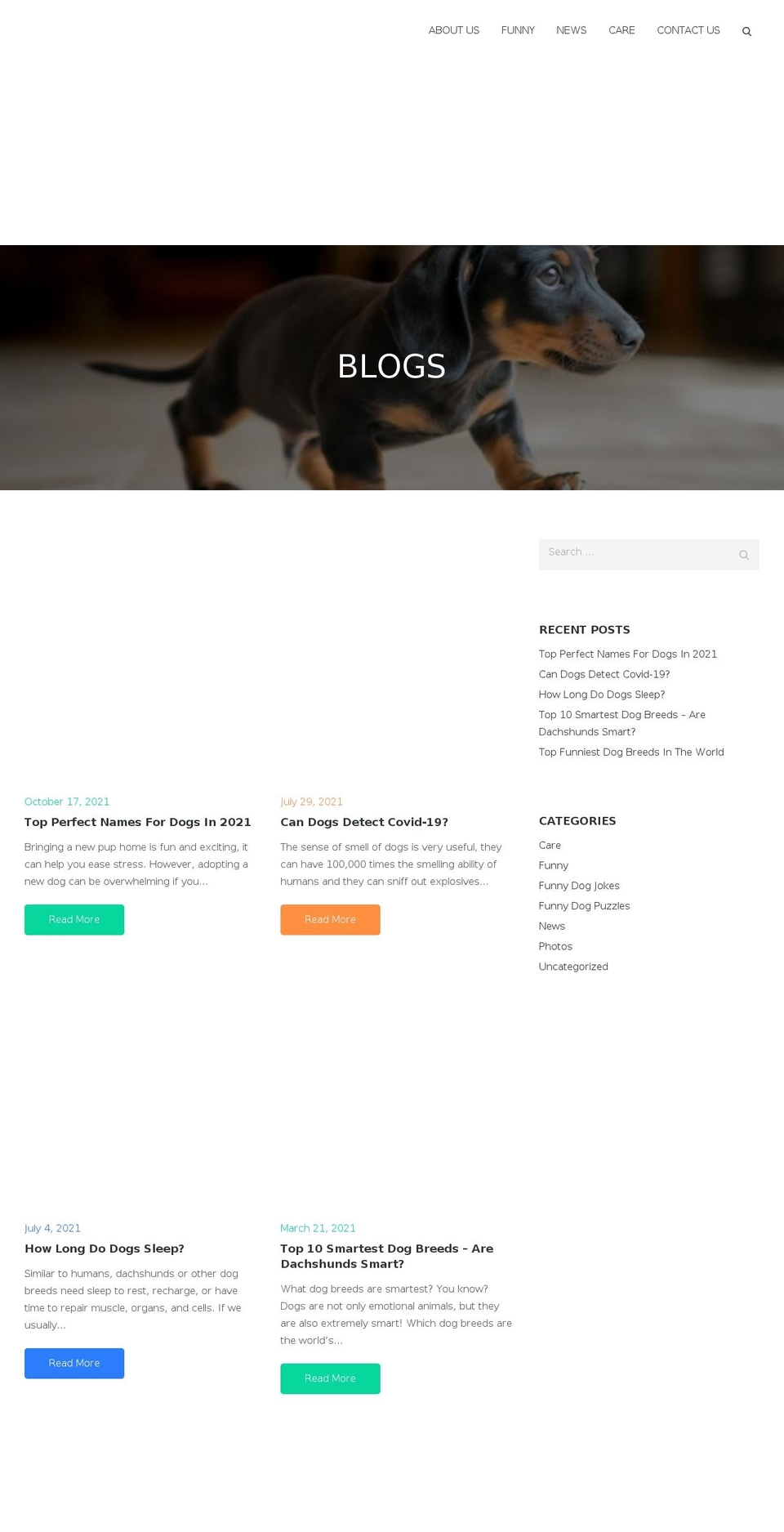 dachshundbonus.com — Shopify storefront screenshot
