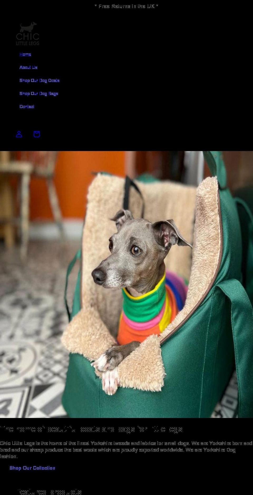 dachshundchic.com shopify website screenshot