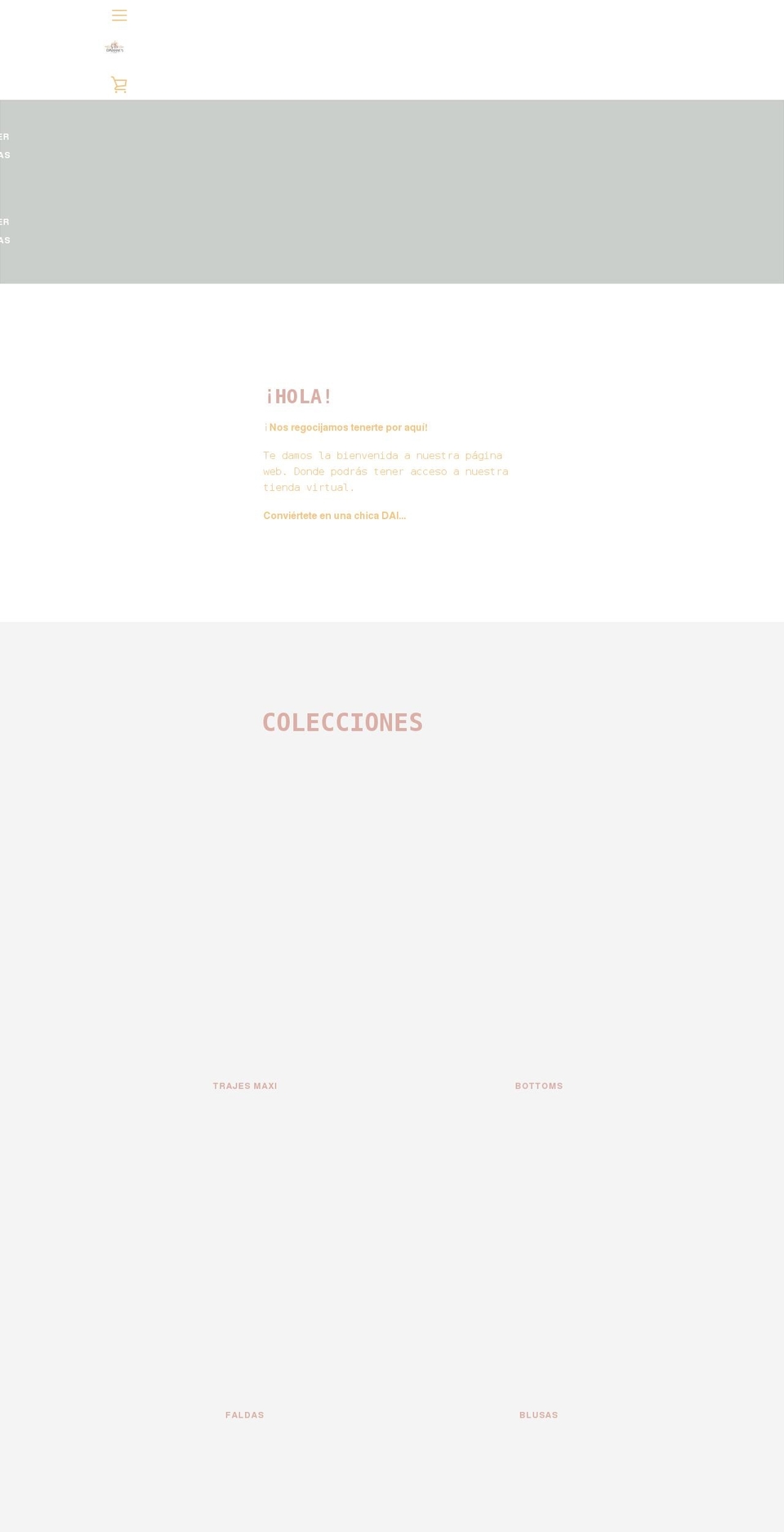 daiannesstore.com shopify website screenshot