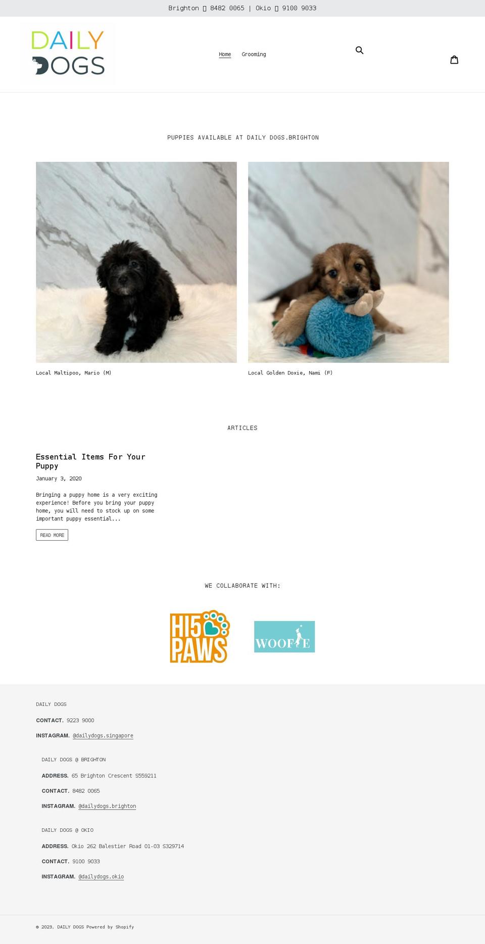 daily-dogs.com shopify website screenshot