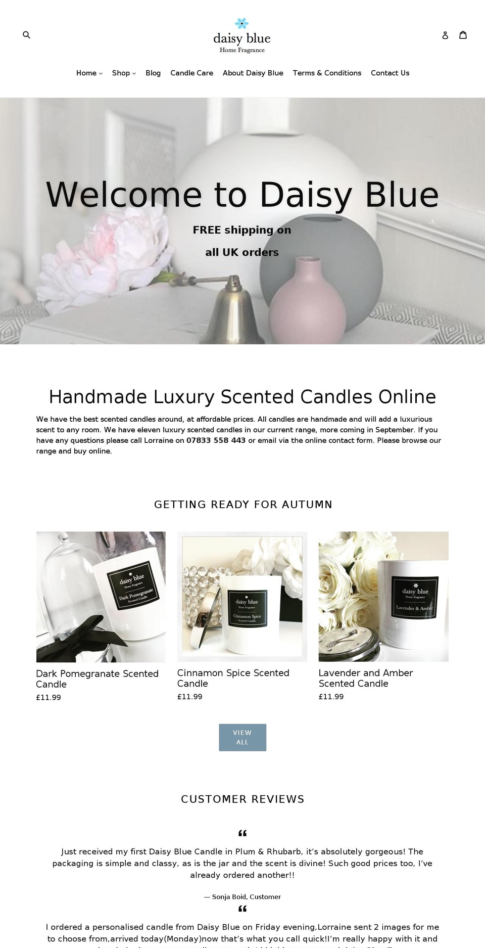 daisybluedreams.com — Shopify storefront screenshot
