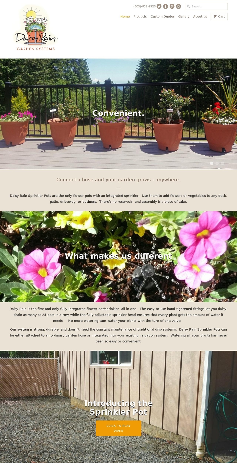 daisyraingarden.com shopify website screenshot