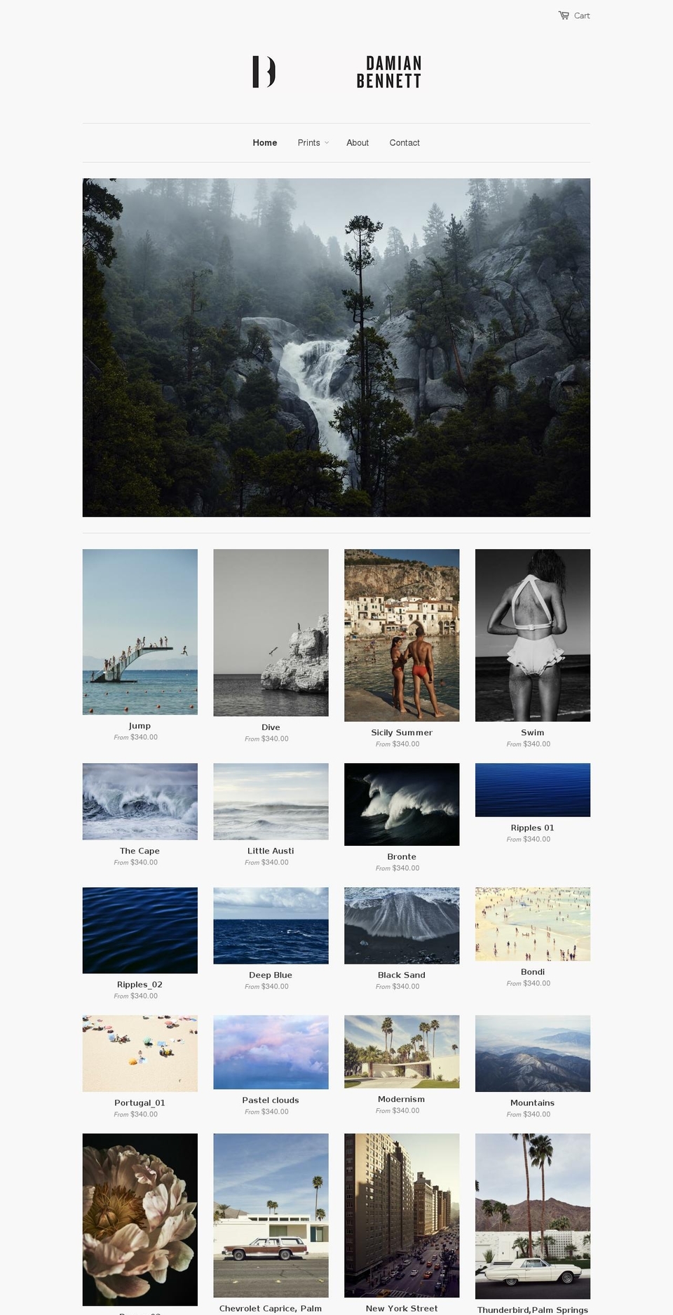 damianbennettgallery.com — Shopify storefront screenshot