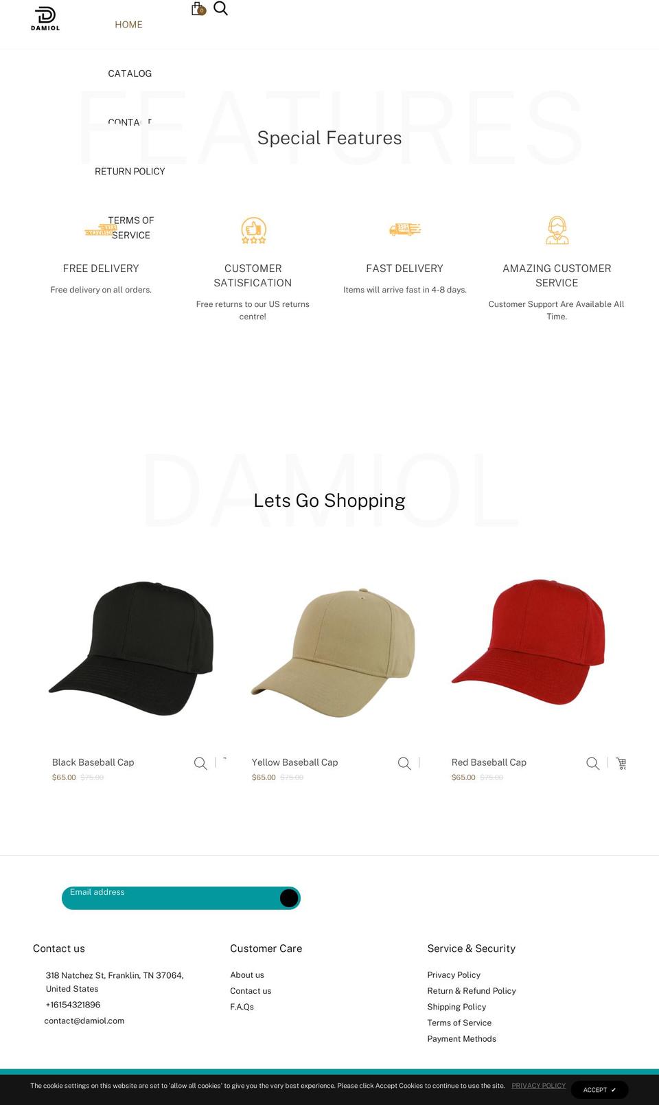 damiol.com shopify website screenshot