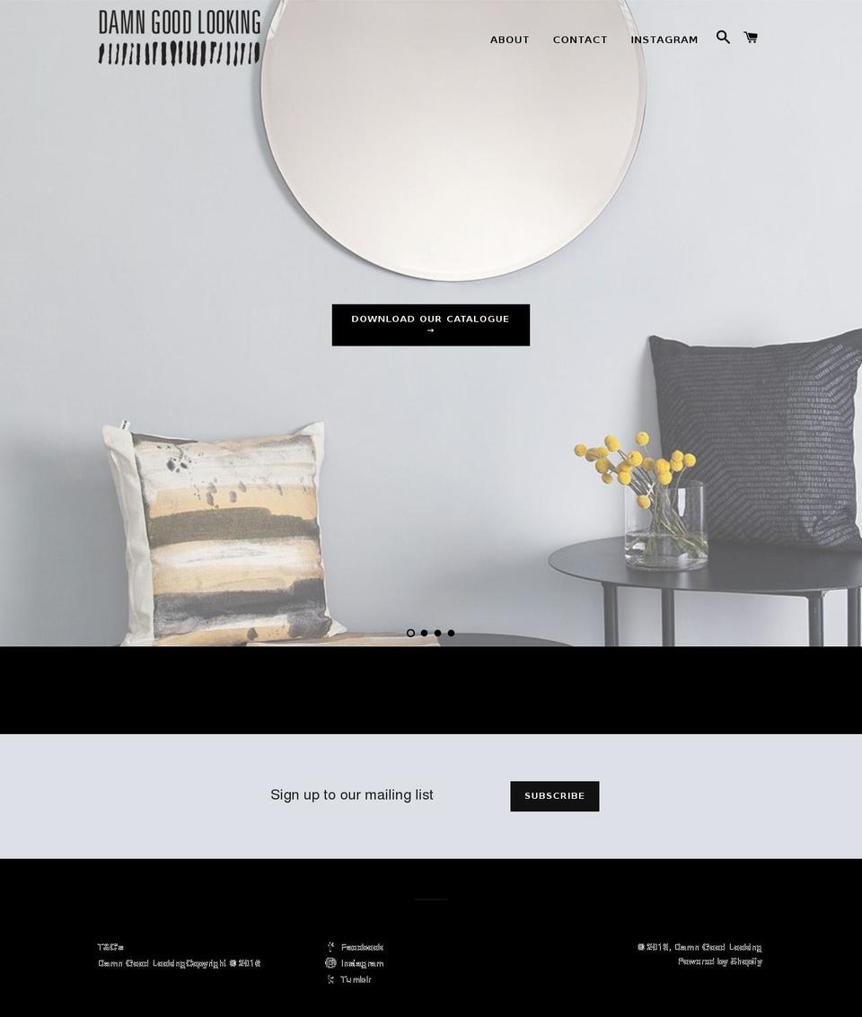 damngoodlooking.co.za shopify website screenshot