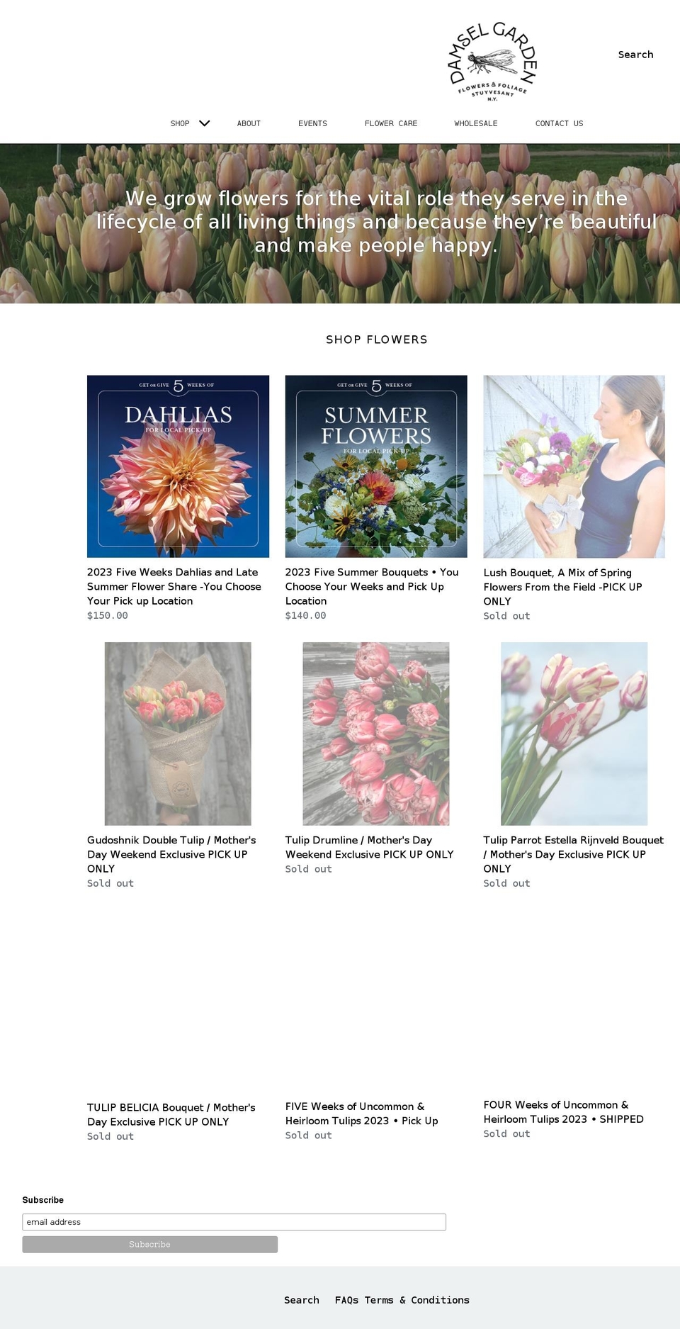damselgarden.com shopify website screenshot