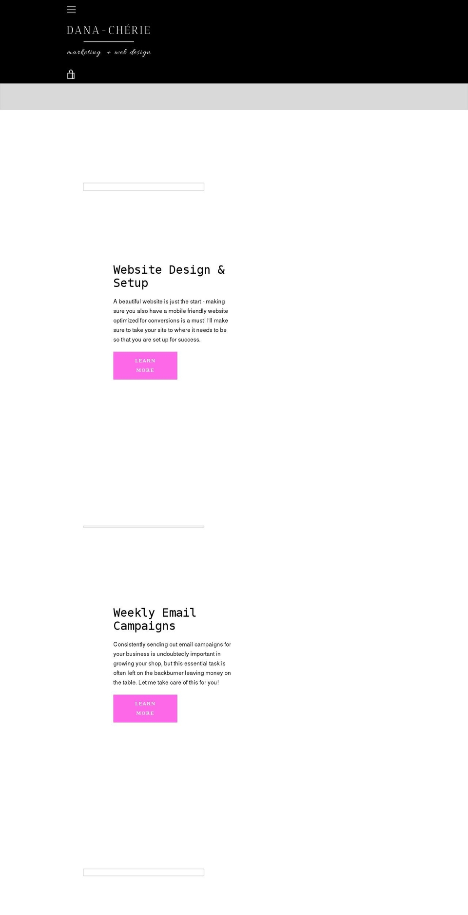 dana-cherie.com shopify website screenshot