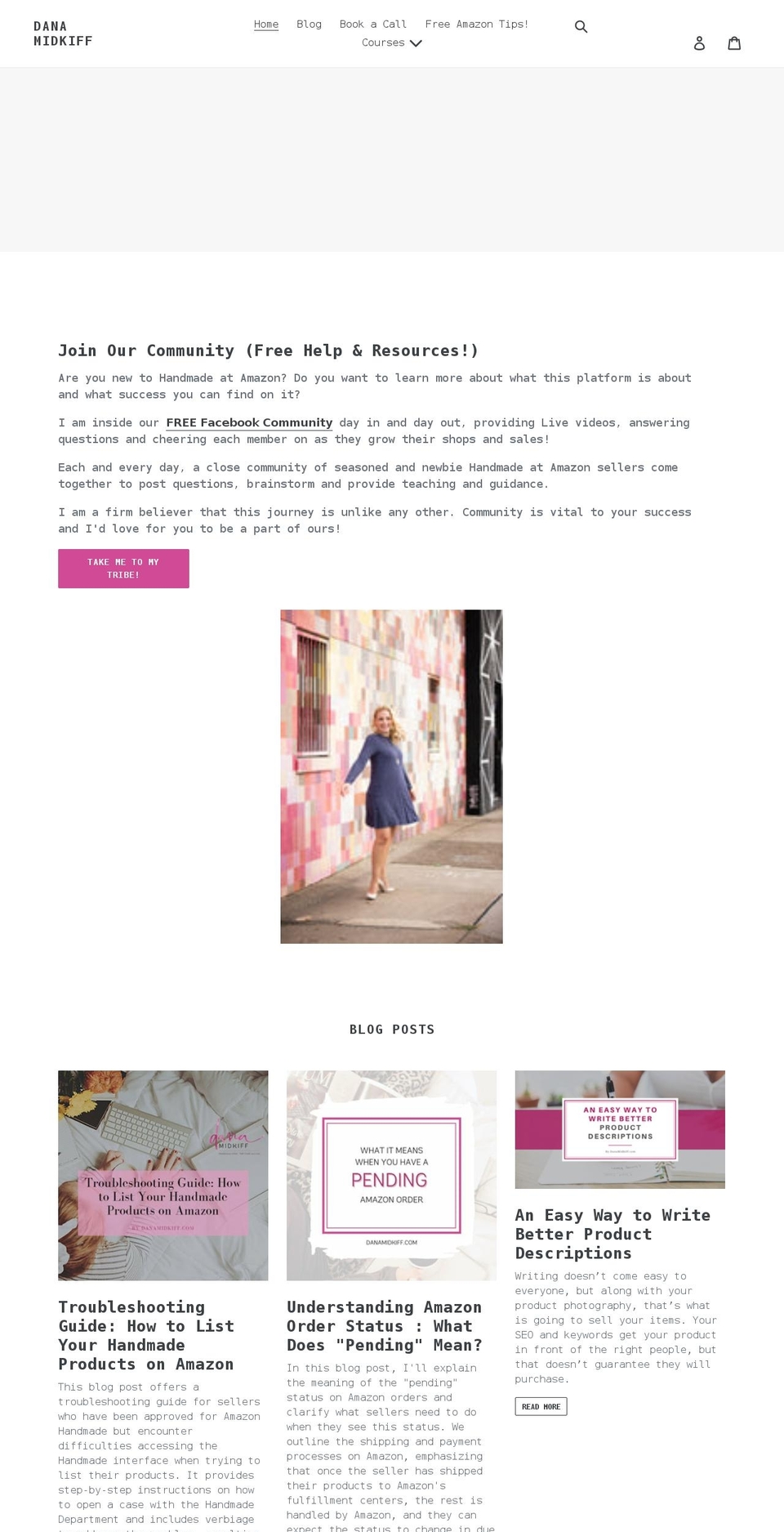 danamidkiff.com shopify website screenshot