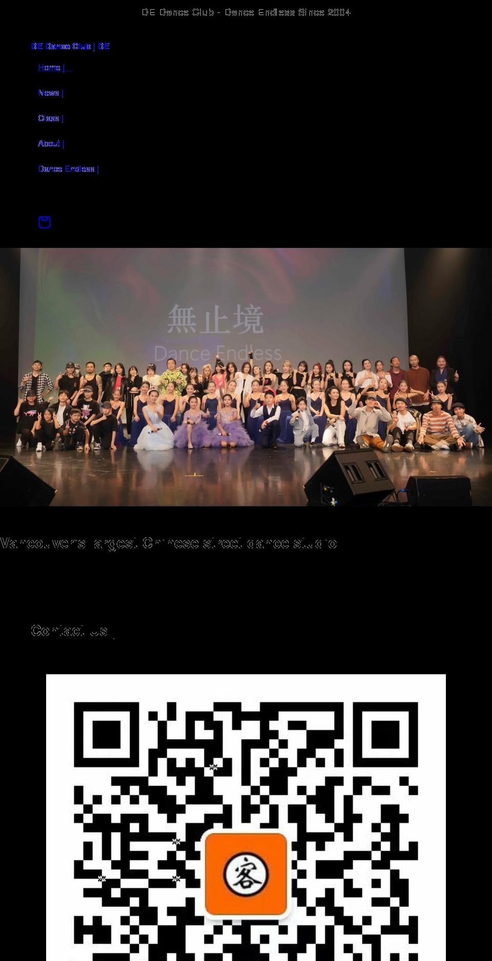 danceendless.com — Shopify storefront screenshot