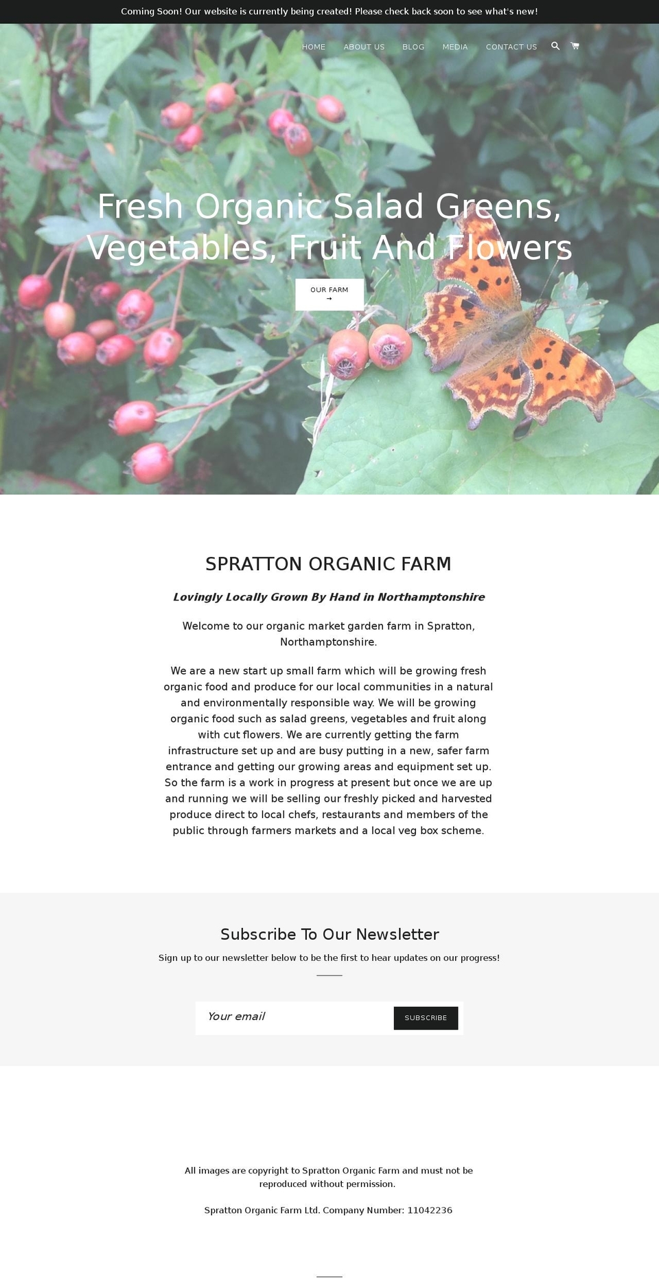 dancing-farmer.com — Shopify storefront screenshot
