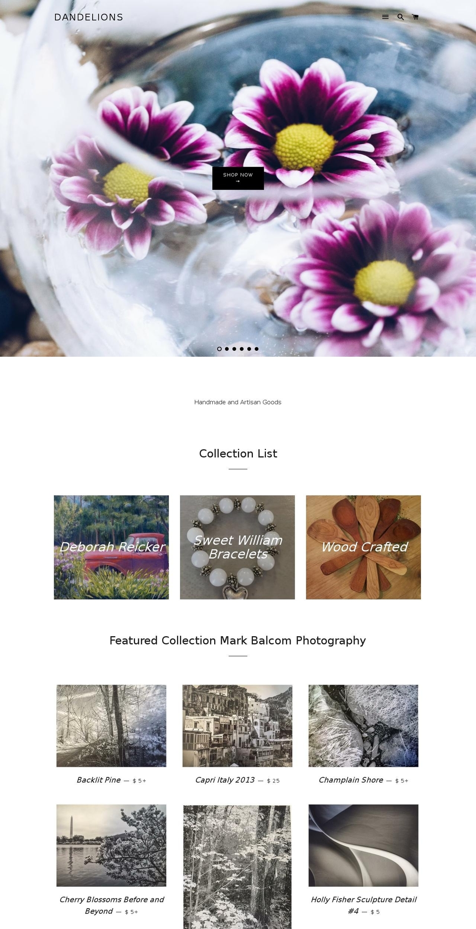dandelionsonline.com — Shopify storefront screenshot