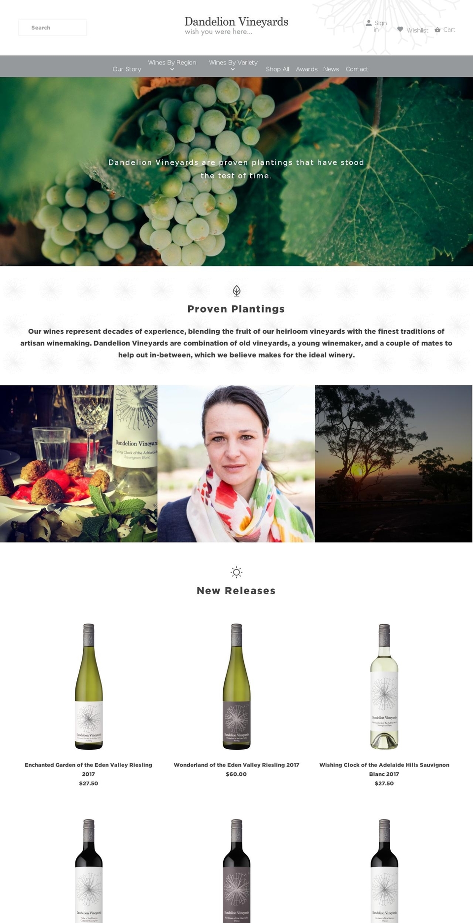 dandelionvineyards.com — Shopify storefront screenshot