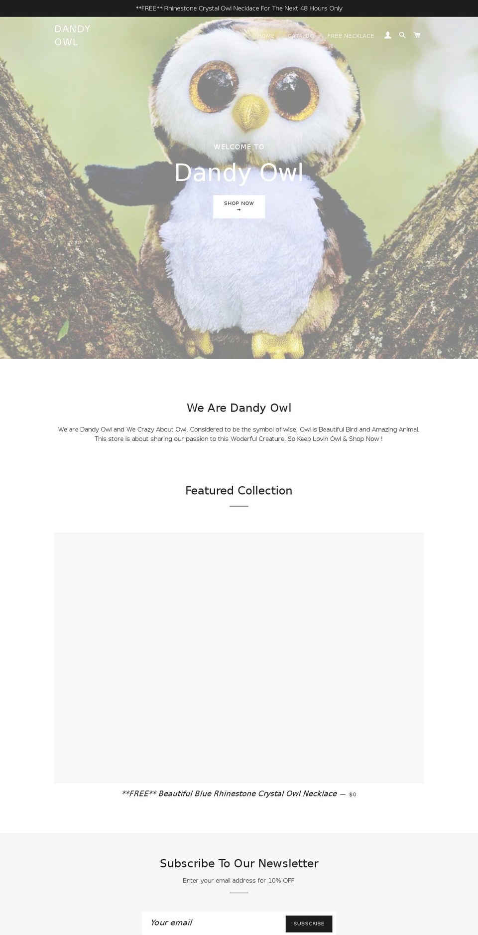 dandyowl.com — Shopify storefront screenshot
