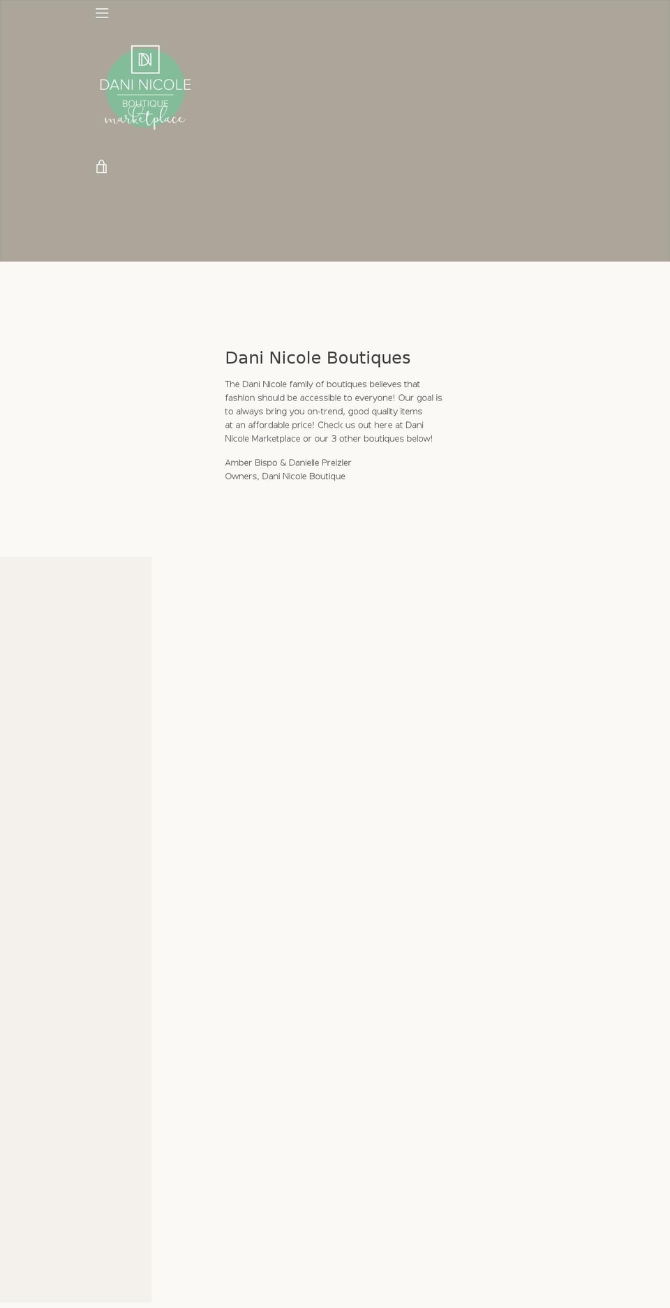 daninicoleboutique.com — Shopify storefront screenshot