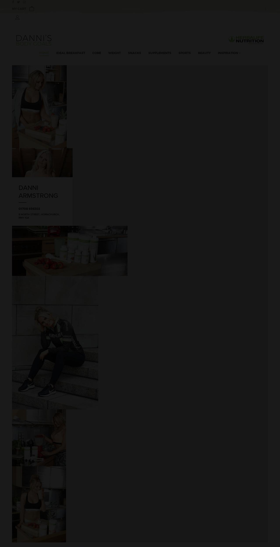 dannisbodygoals.com shopify website screenshot