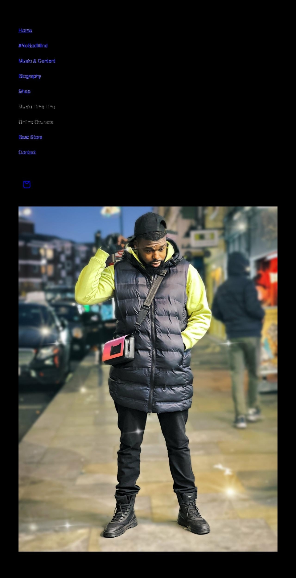 dannyplatinum.com shopify website screenshot