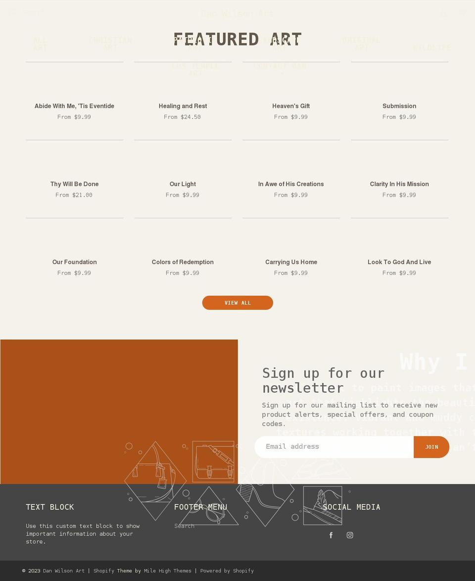 danwilsonart.com shopify website screenshot