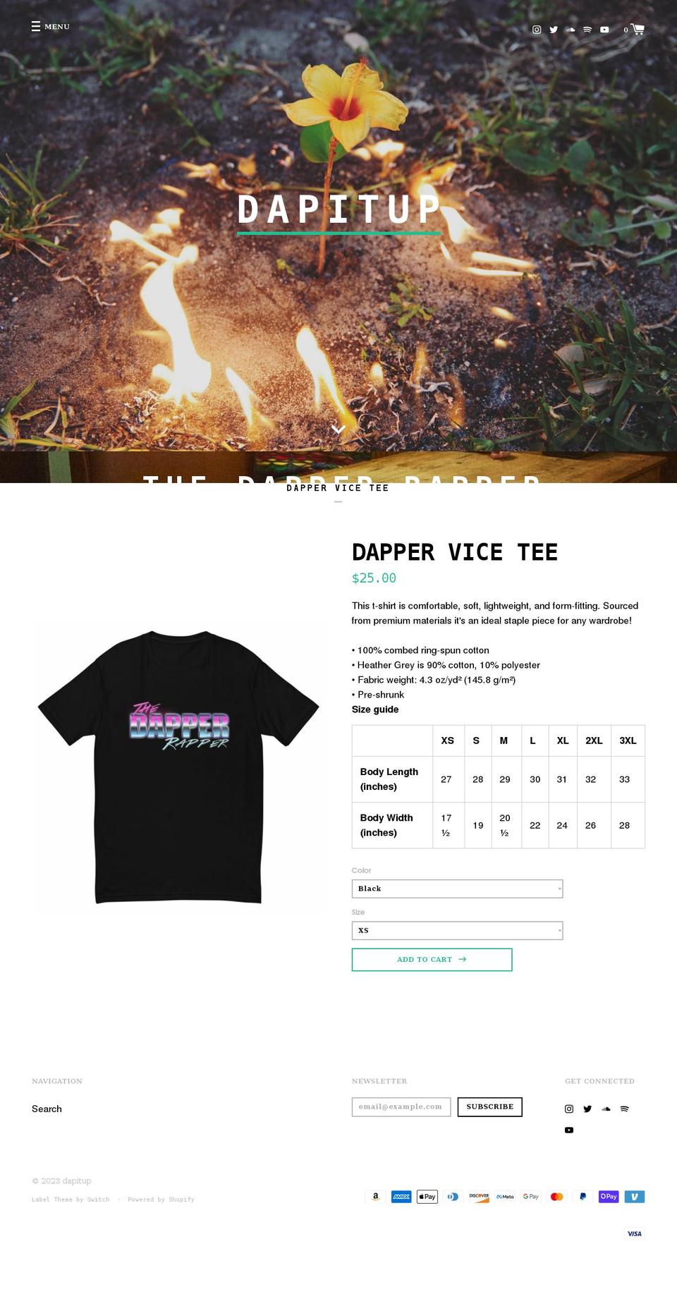 dapitup.com shopify website screenshot