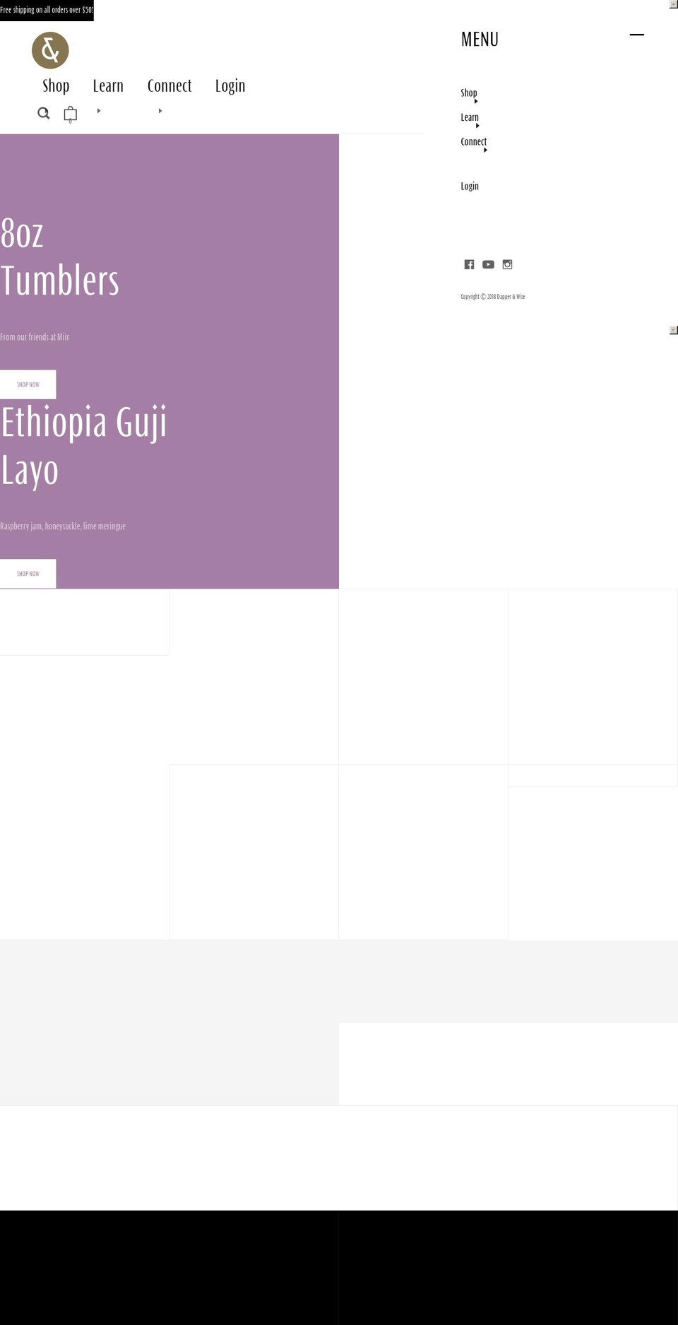 dapperandwise.com — Shopify storefront screenshot