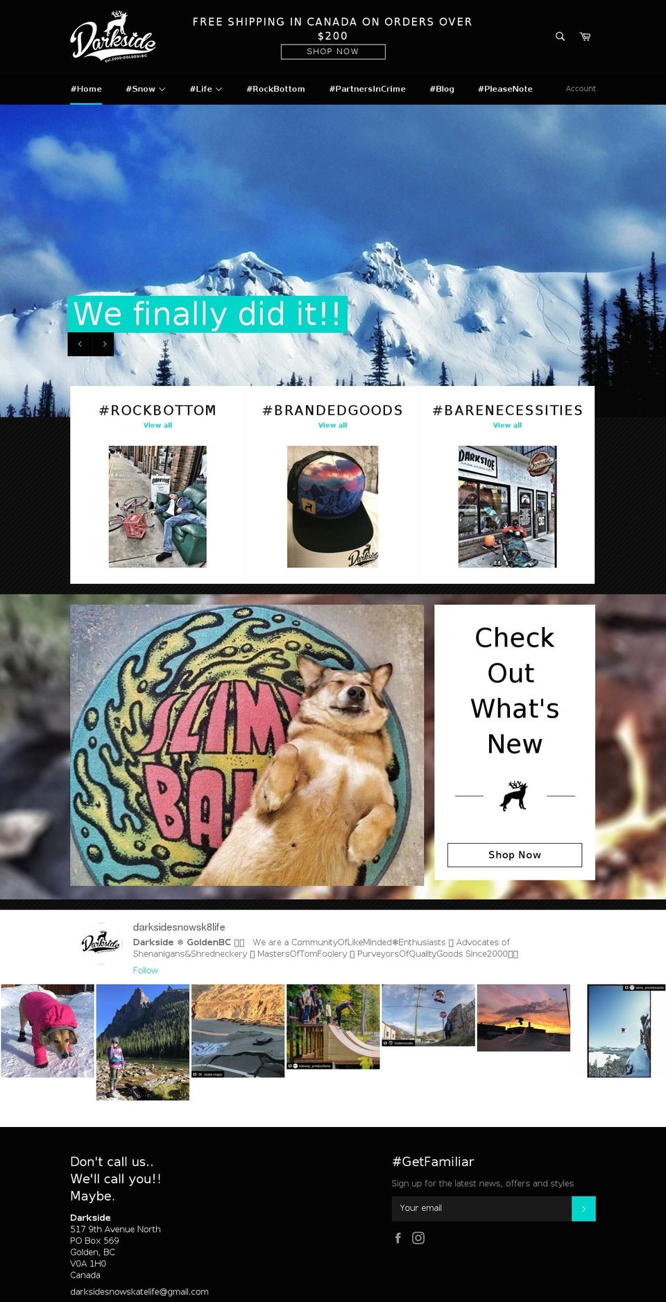 darksidesnowsk8life.com shopify website screenshot