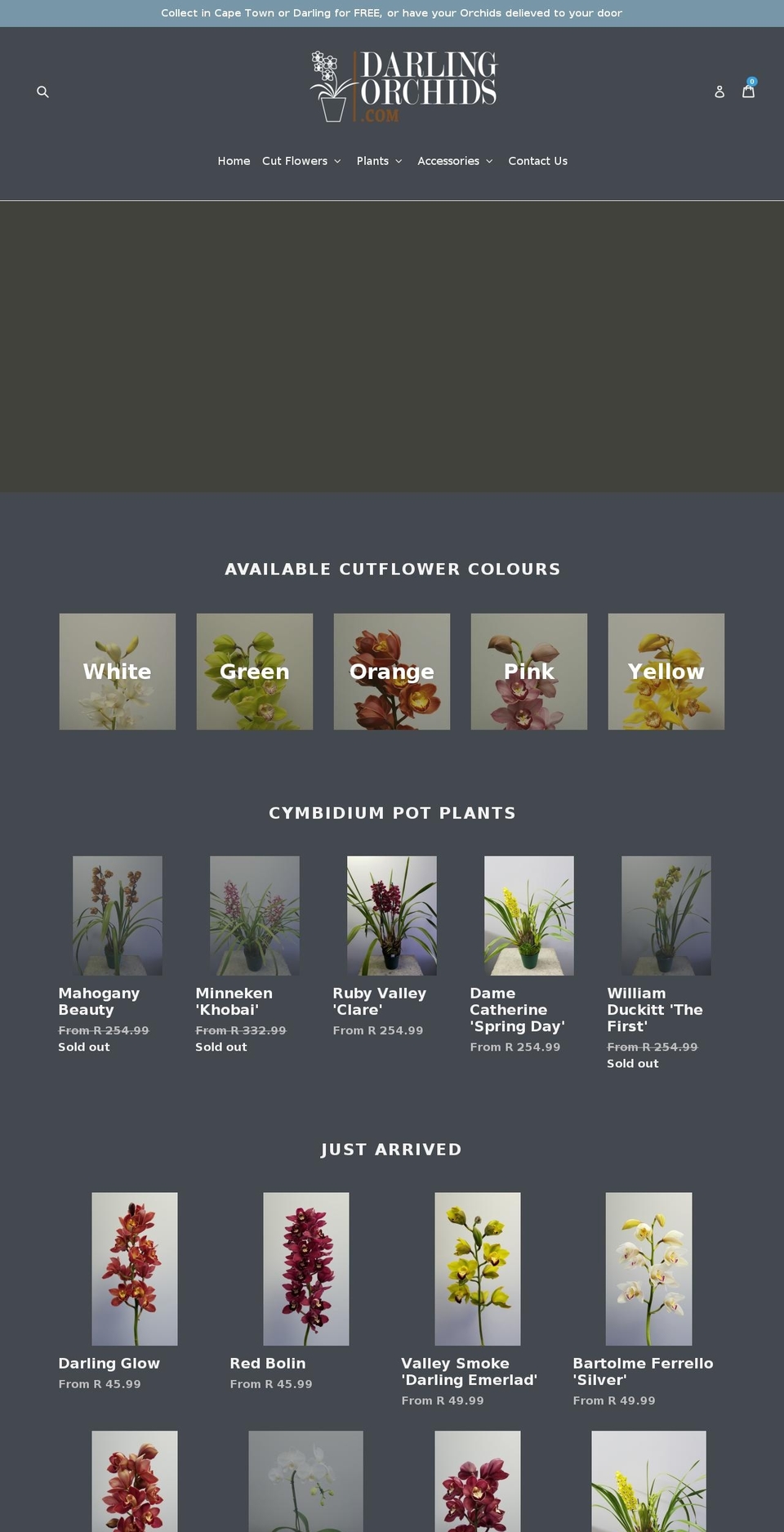 darlingorchids.com — Shopify storefront screenshot