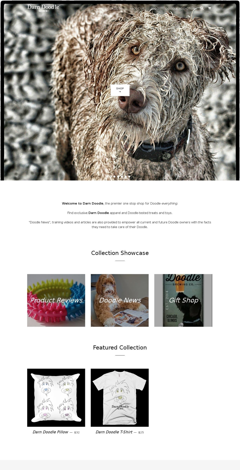 darndoodle.com shopify website screenshot