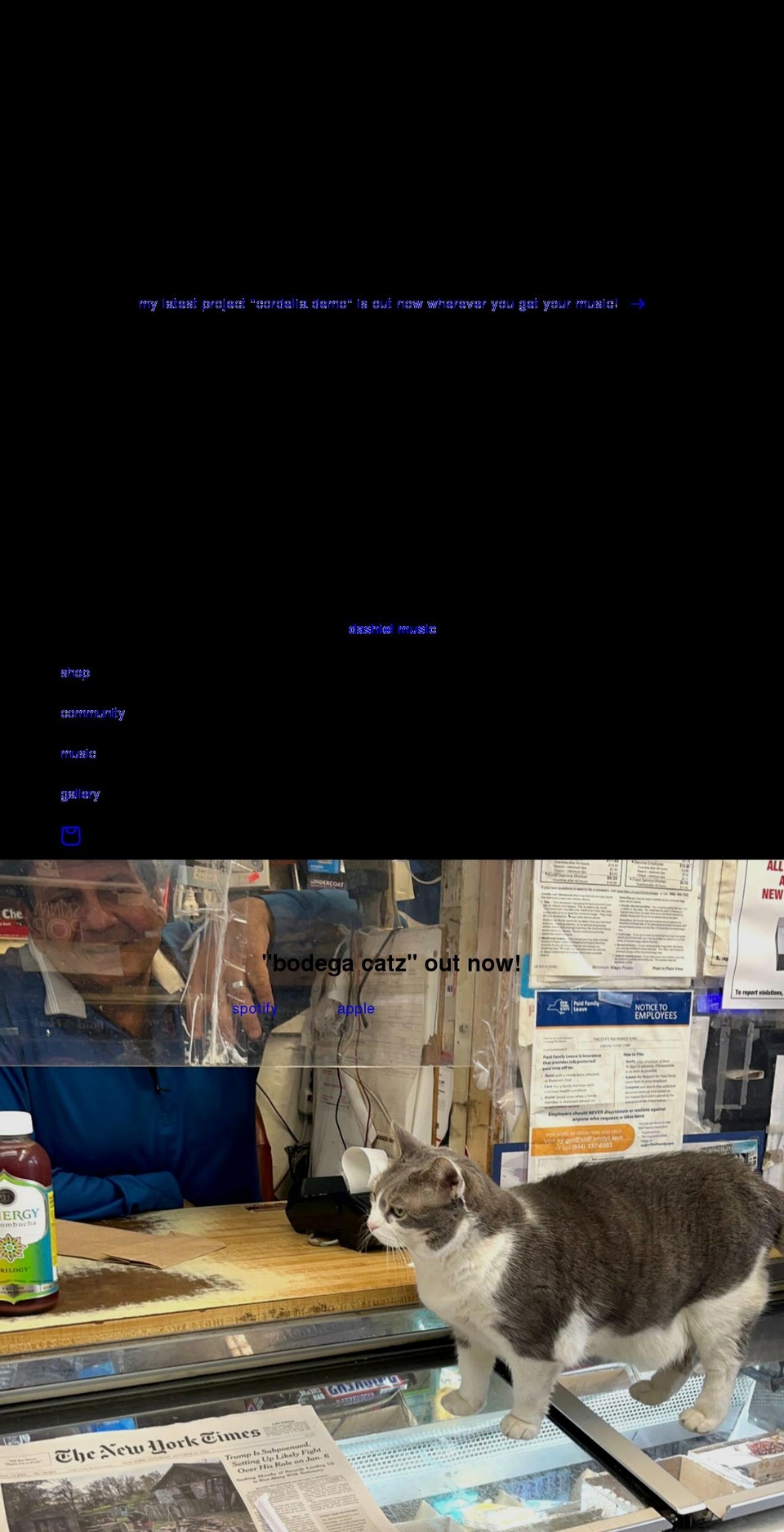dashielmusic.com shopify website screenshot