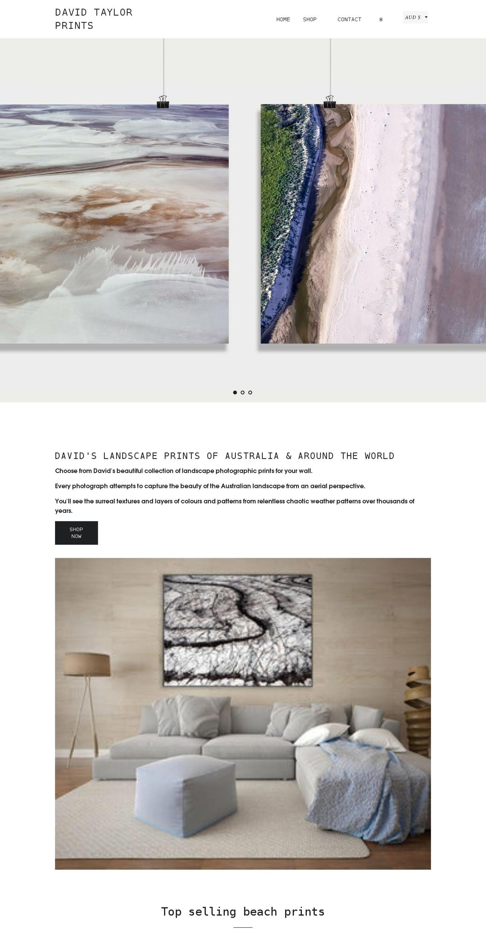 davidtaylorprints.com.au shopify website screenshot